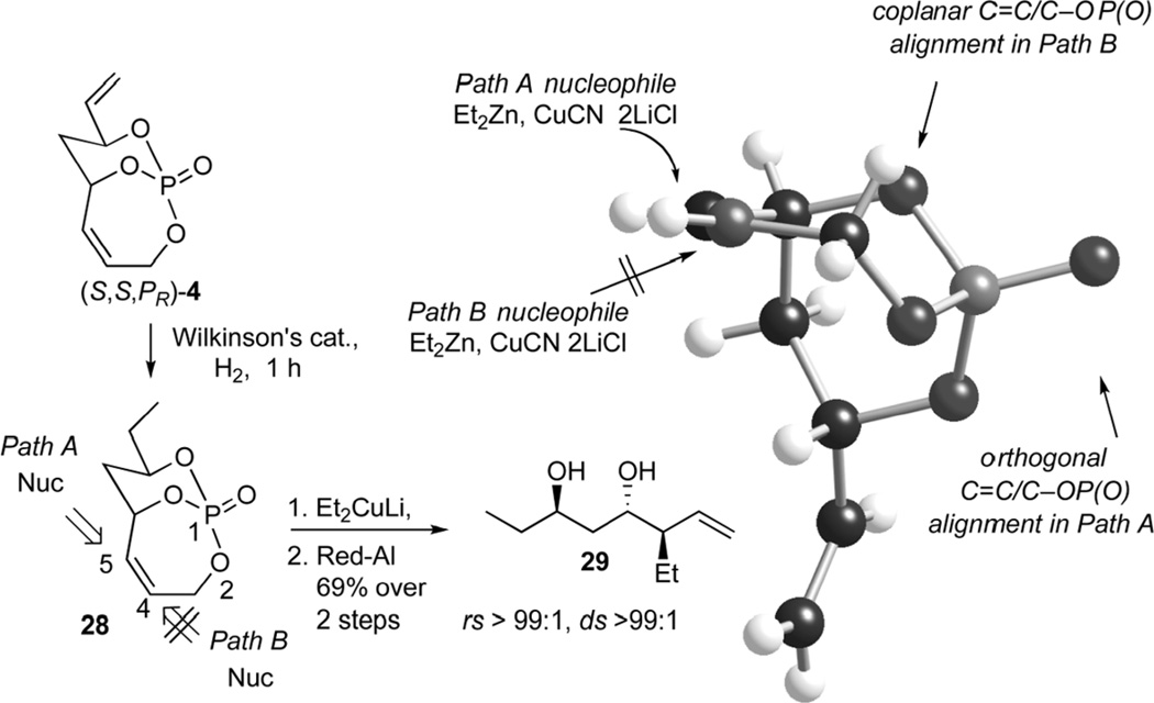 Scheme 11