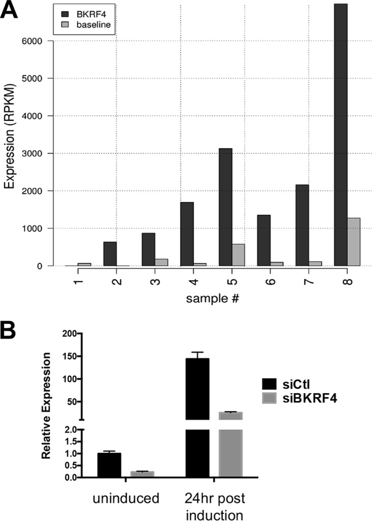 FIG 6