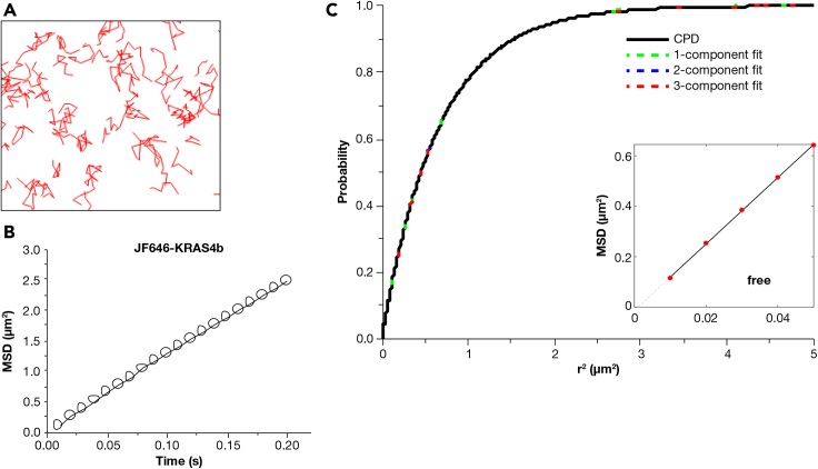 Figure 1