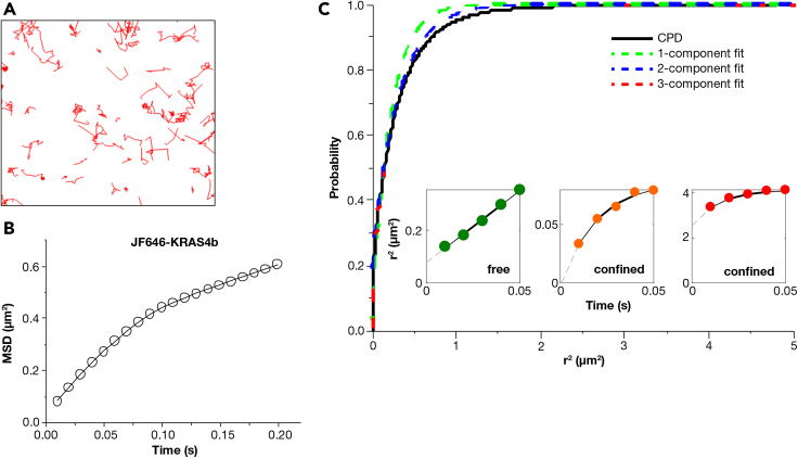 Figure 2