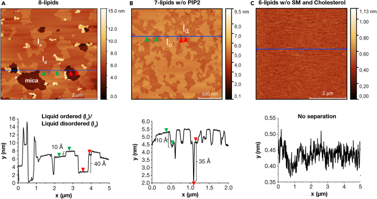 Figure 4