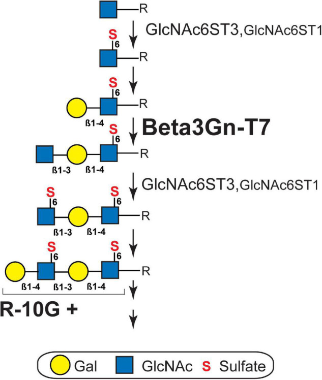 FIGURE 3