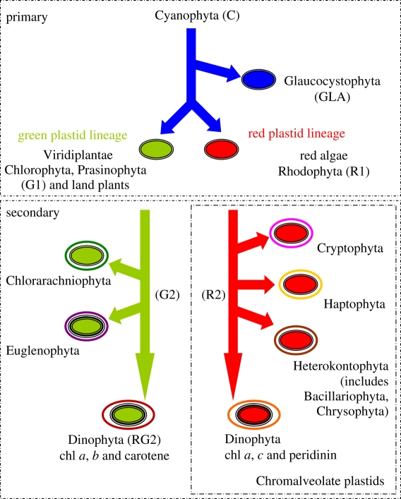 Figure 1.