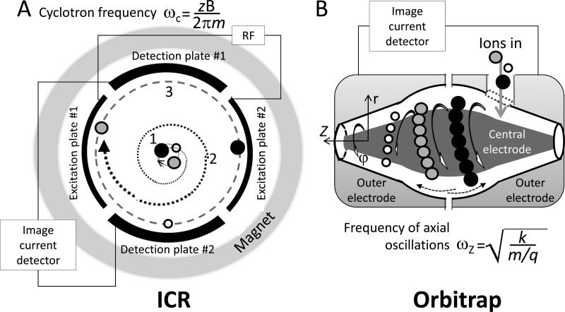 Fig. 12