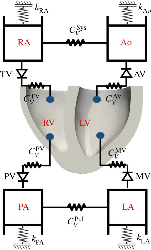 Figure 5.