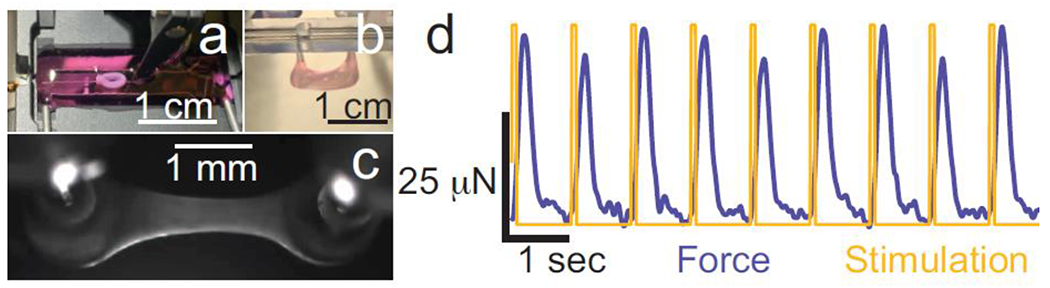 Figure 3: