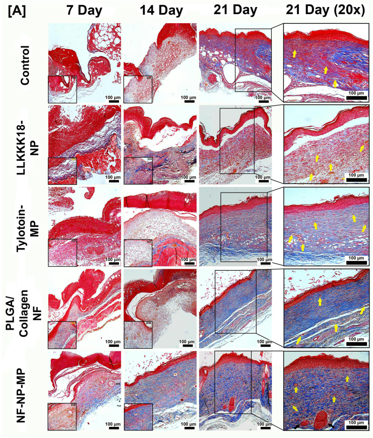 Fig. 7