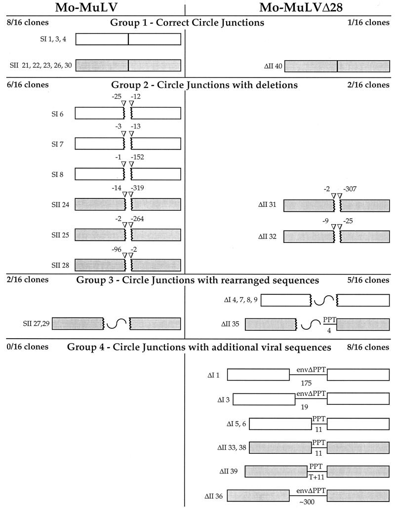 FIG. 6