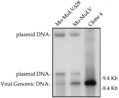 FIG. 4