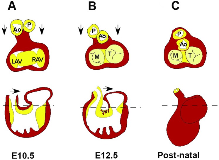 Figure 14