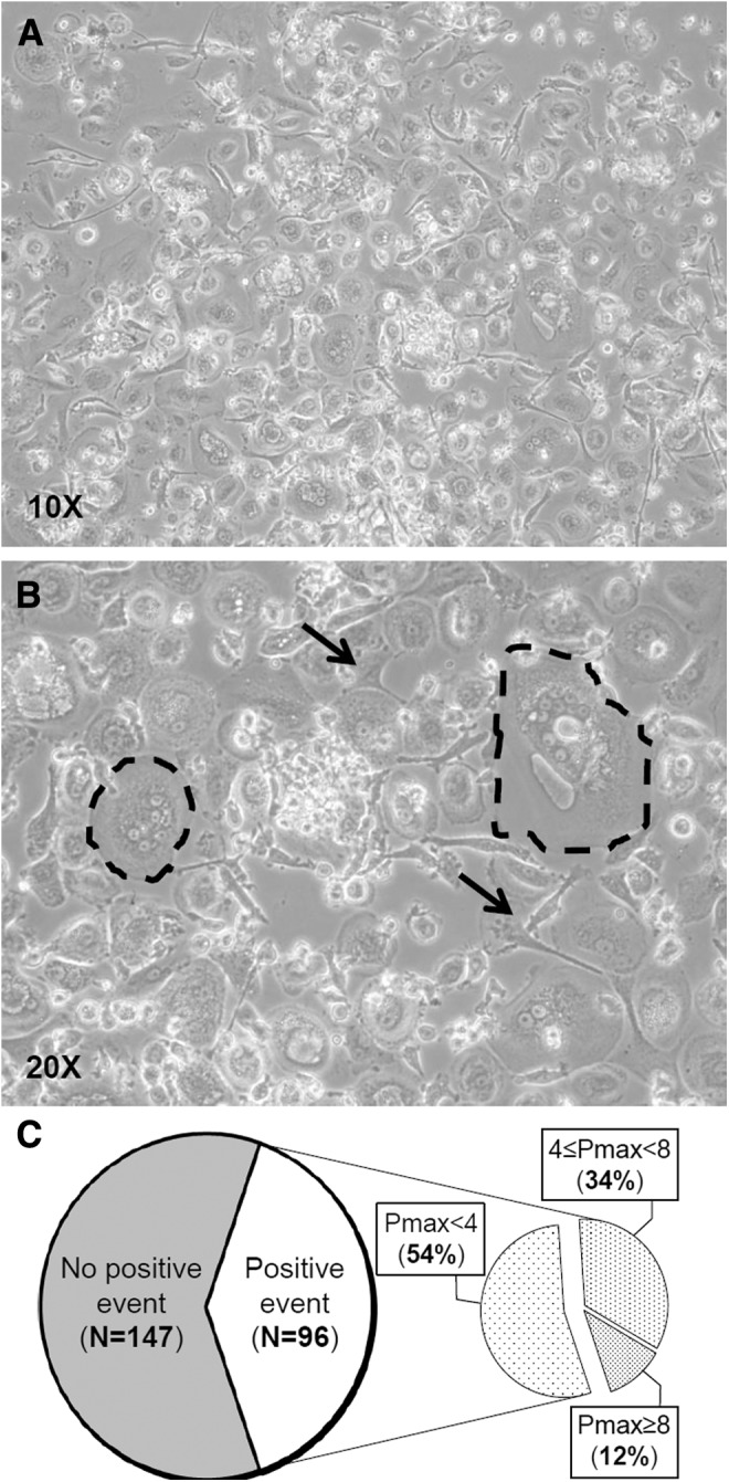 FIG. 1.