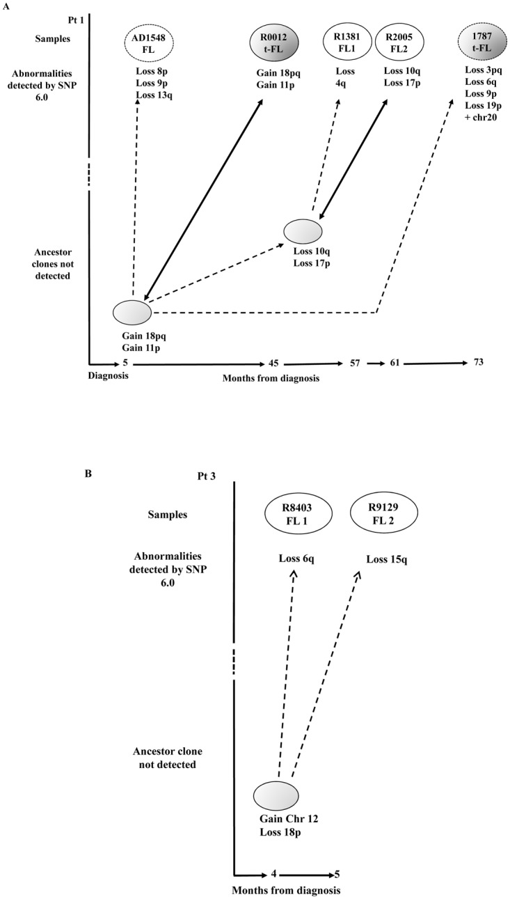 Fig 5