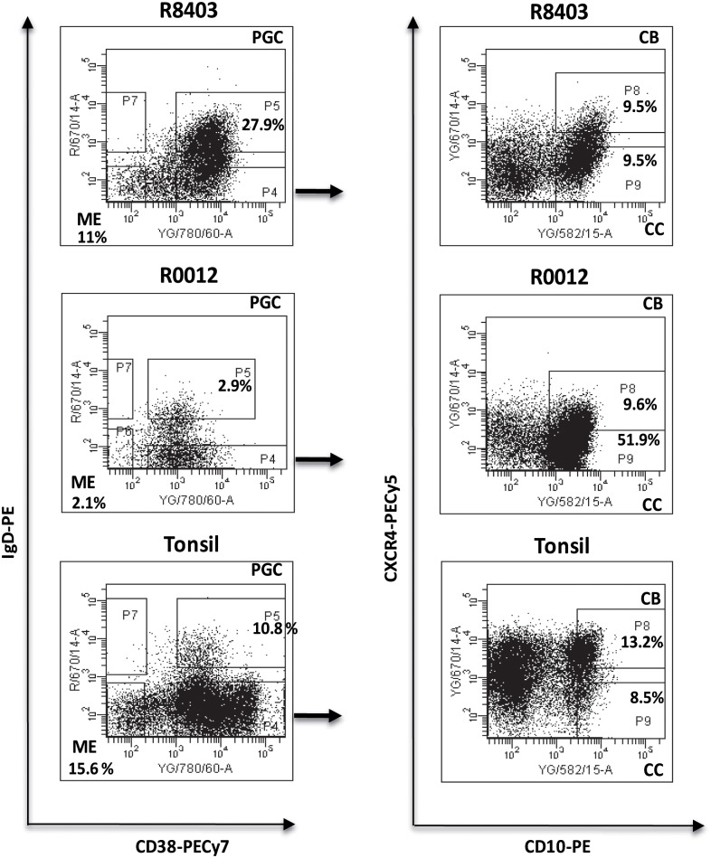 Fig 2