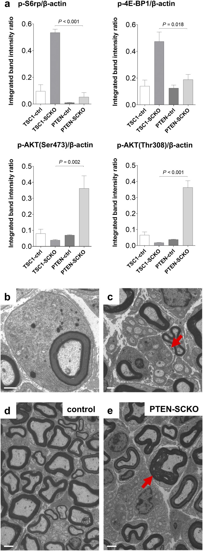 Fig. S6.