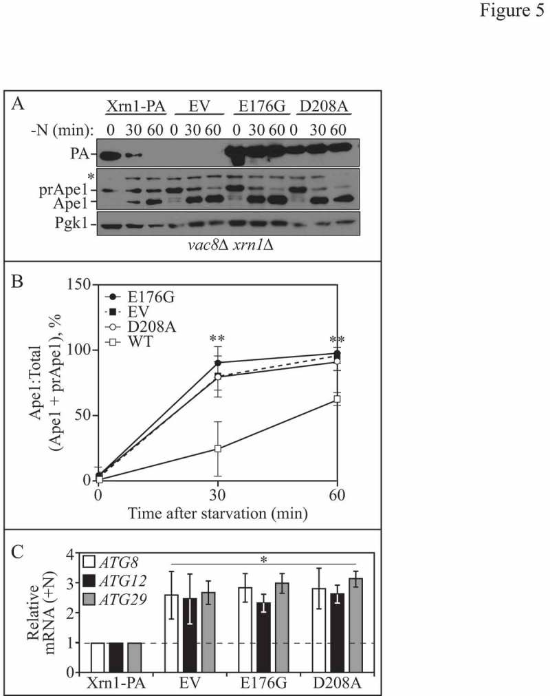 Figure 5.