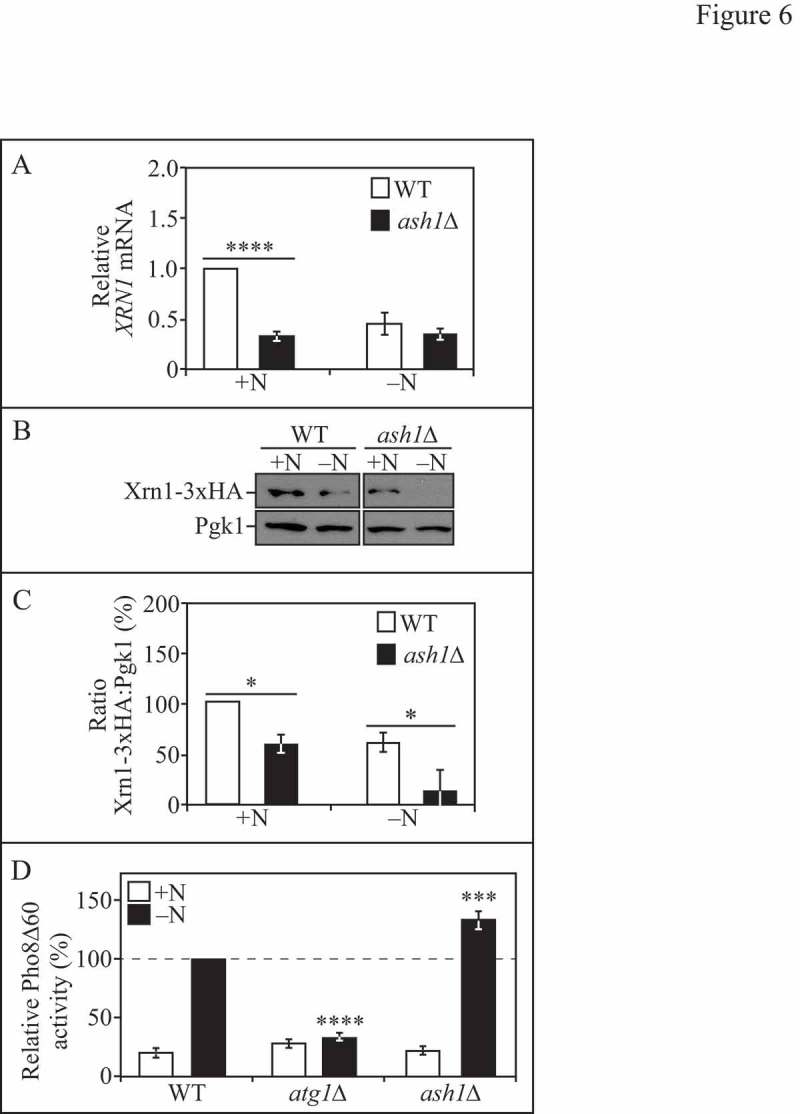 Figure 6.