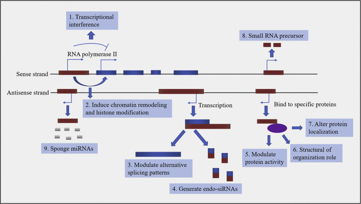 Figure 1