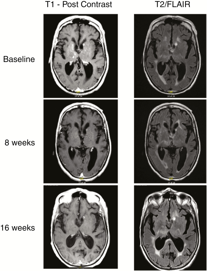 Fig. 3.