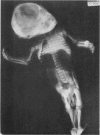 256