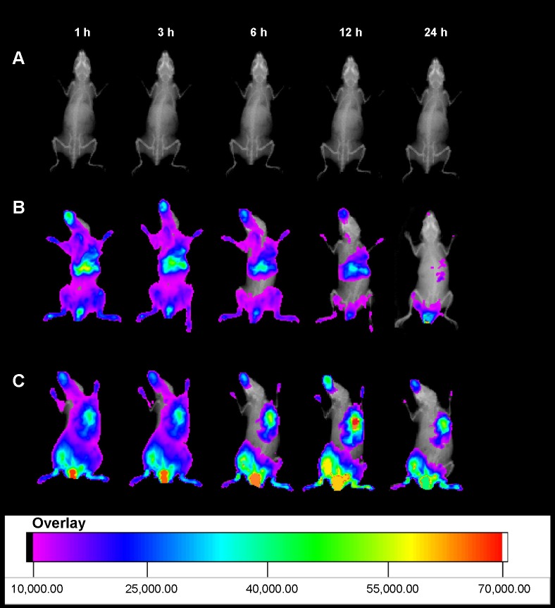 Figure 11