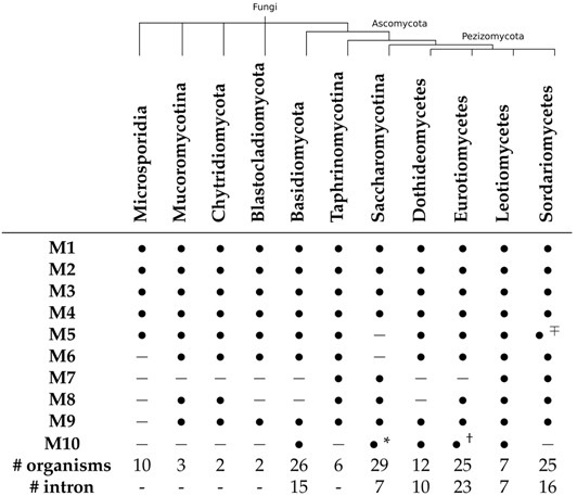 graphic file with name ncrna-03-00003-i001.jpg