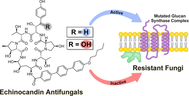 graphic file with name ja2c00269_0008.jpg