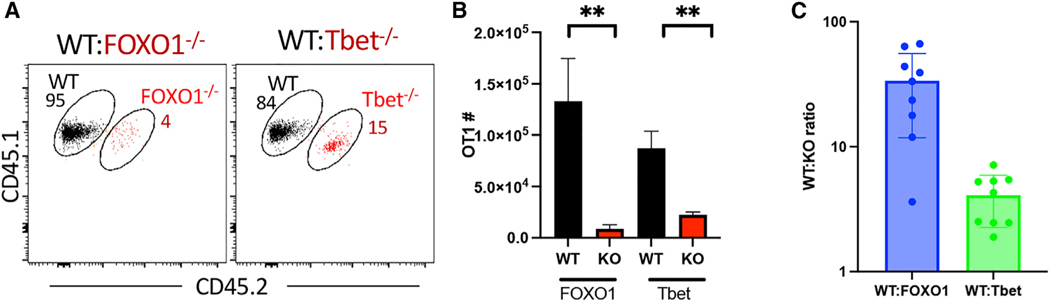 Figure 7.