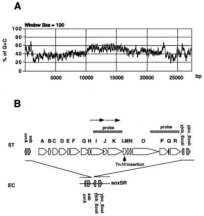 FIG. 5