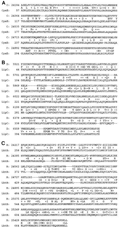 FIG. 6