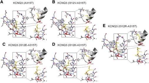 Figure 7