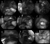 Fig. 2.