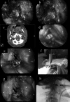 Fig. 4.