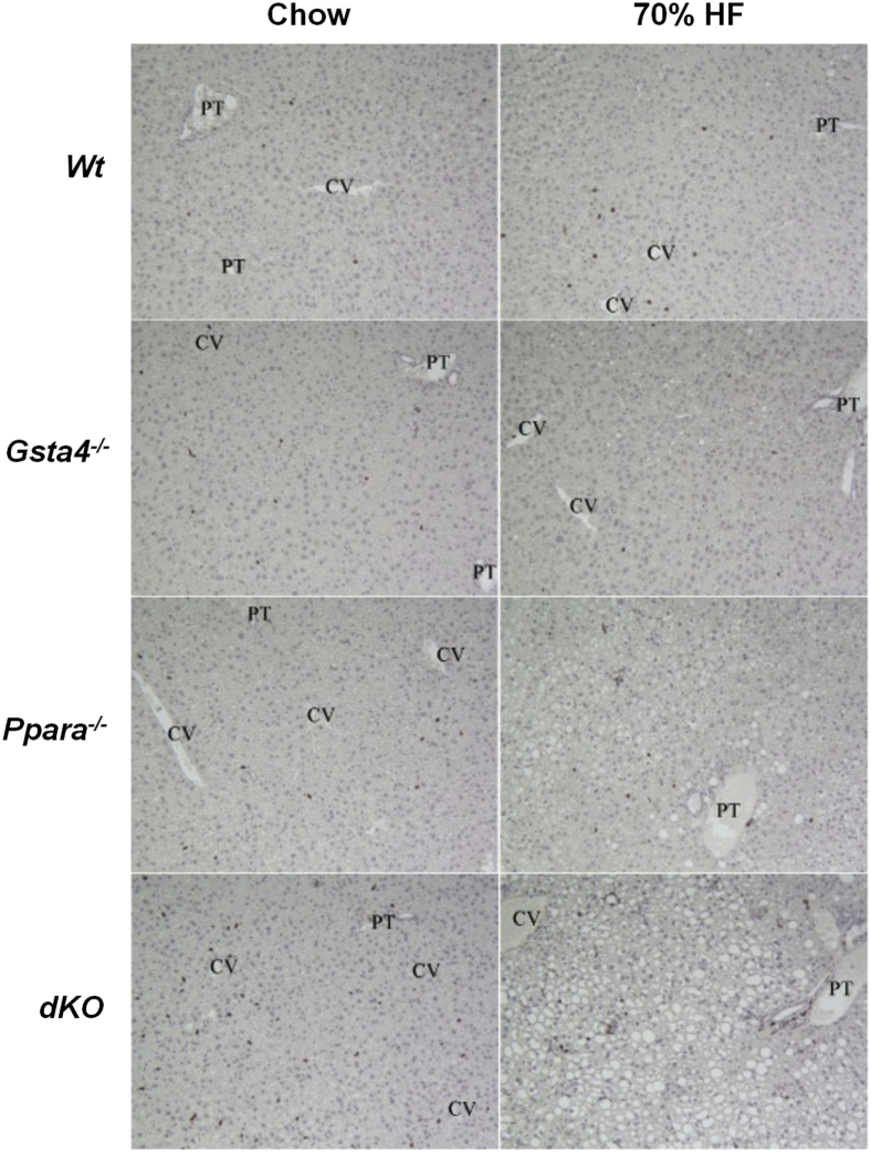 Figure 5