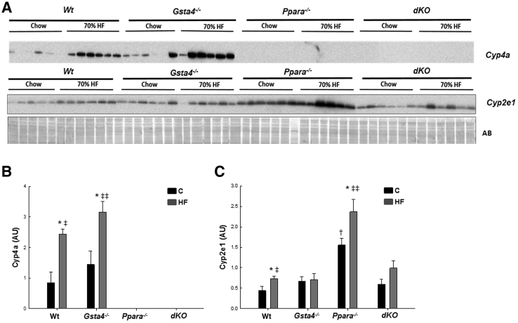 Figure 4