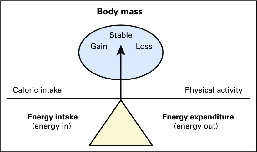 Fig 1.