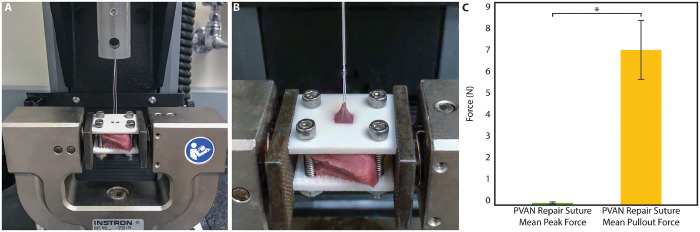 Figure 6: