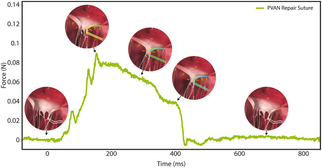 Figure 7: