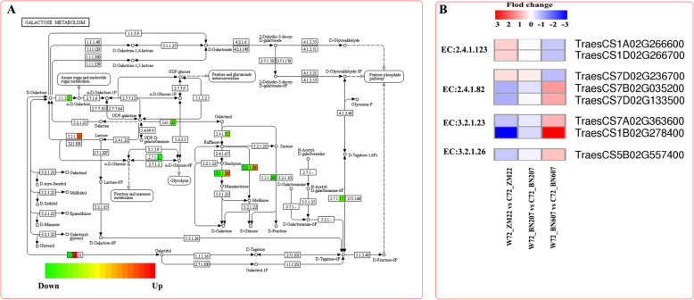 Fig. 7