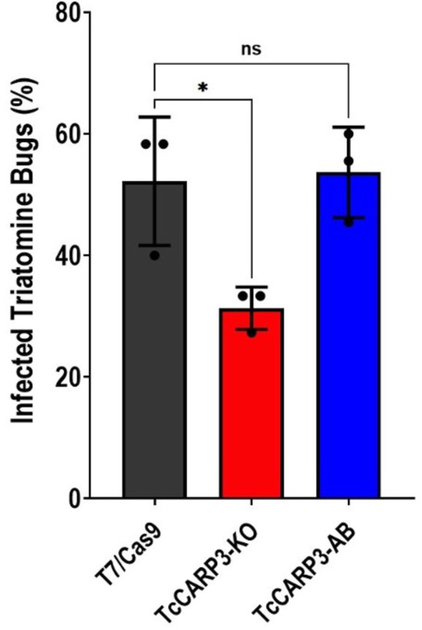 Figure 7.