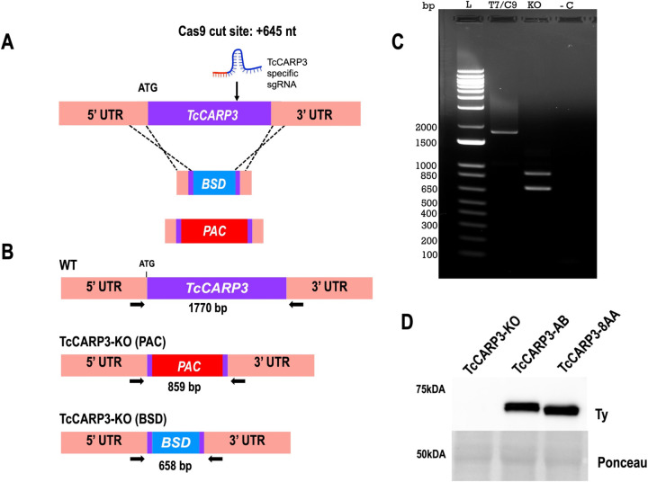 Figure 2.