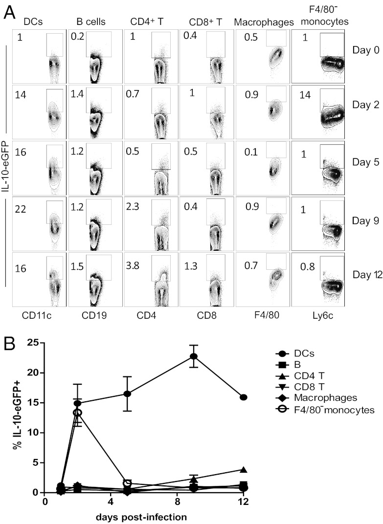 Fig. 1.