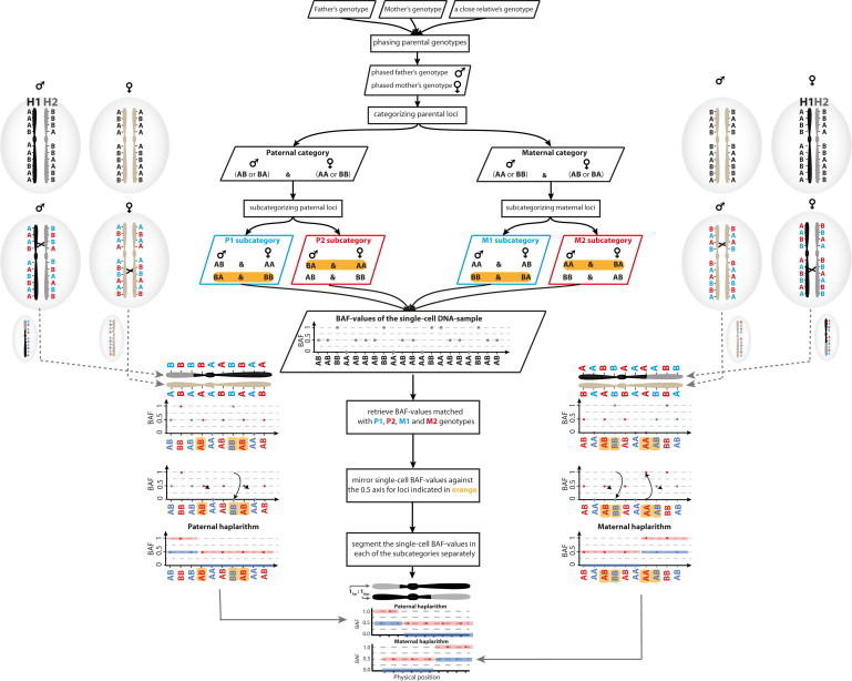 Figure 1