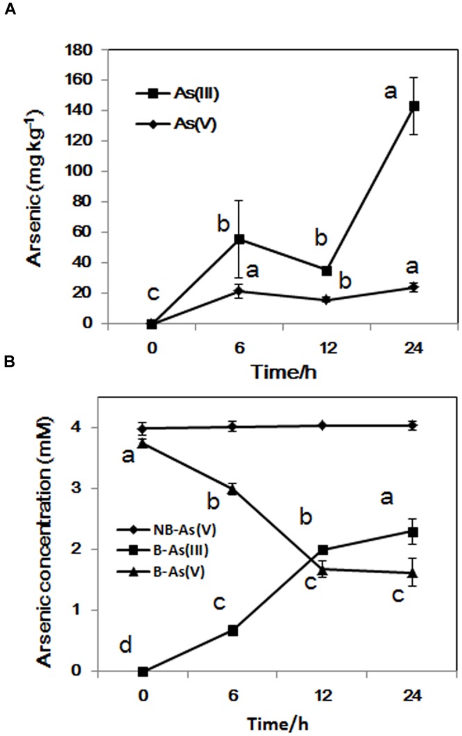 FIGURE 3