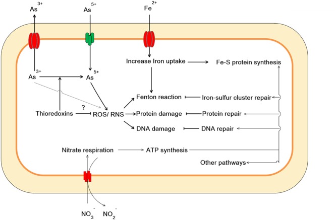 FIGURE 6