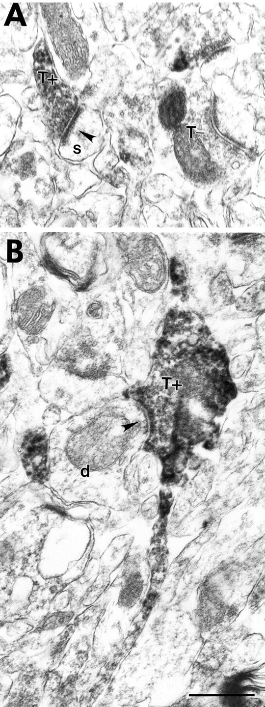 Fig. 11.