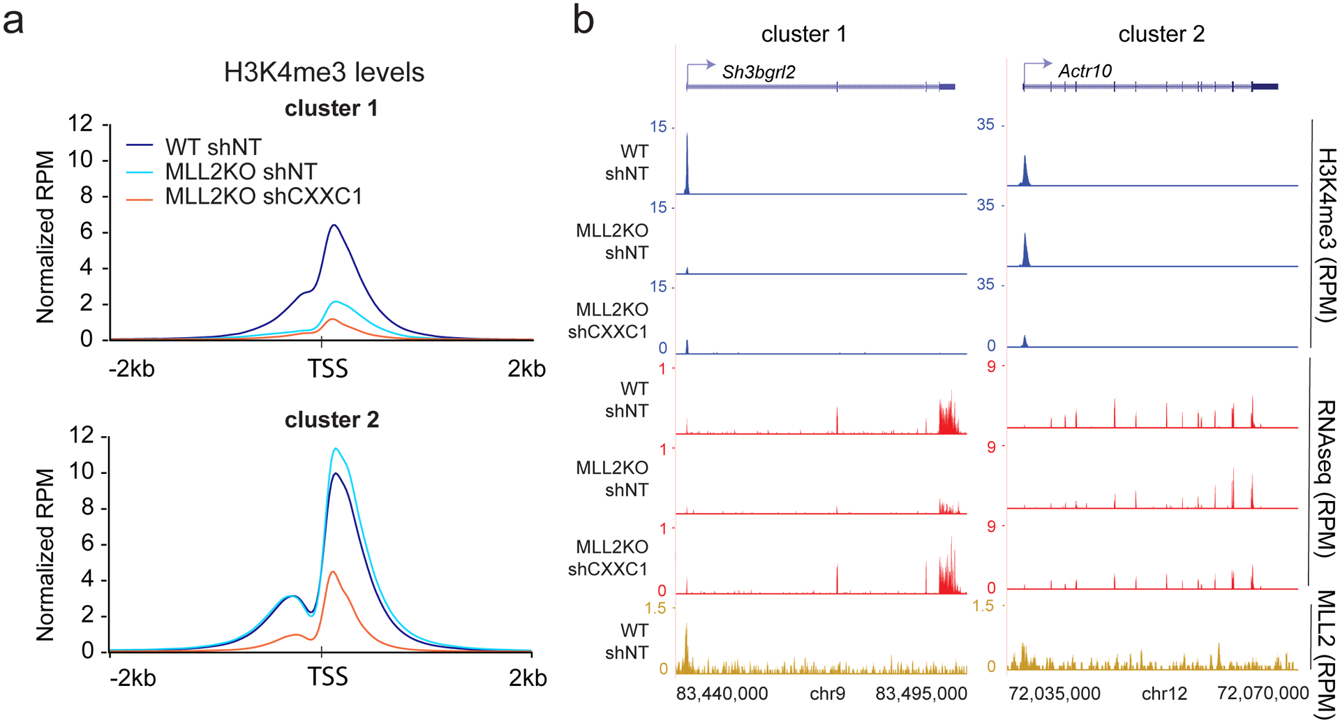 Fig. 4: