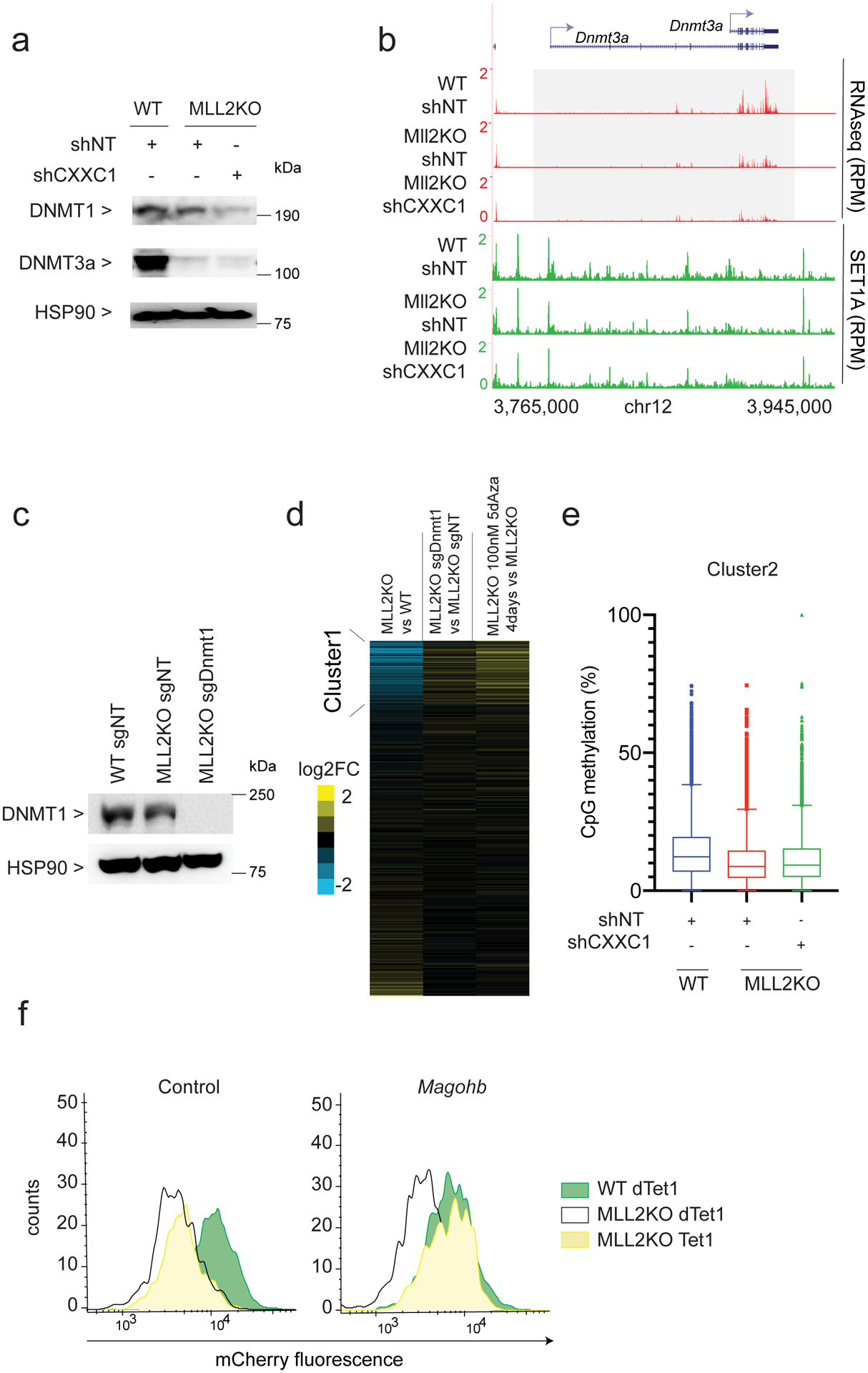 Extended Data Fig. 5