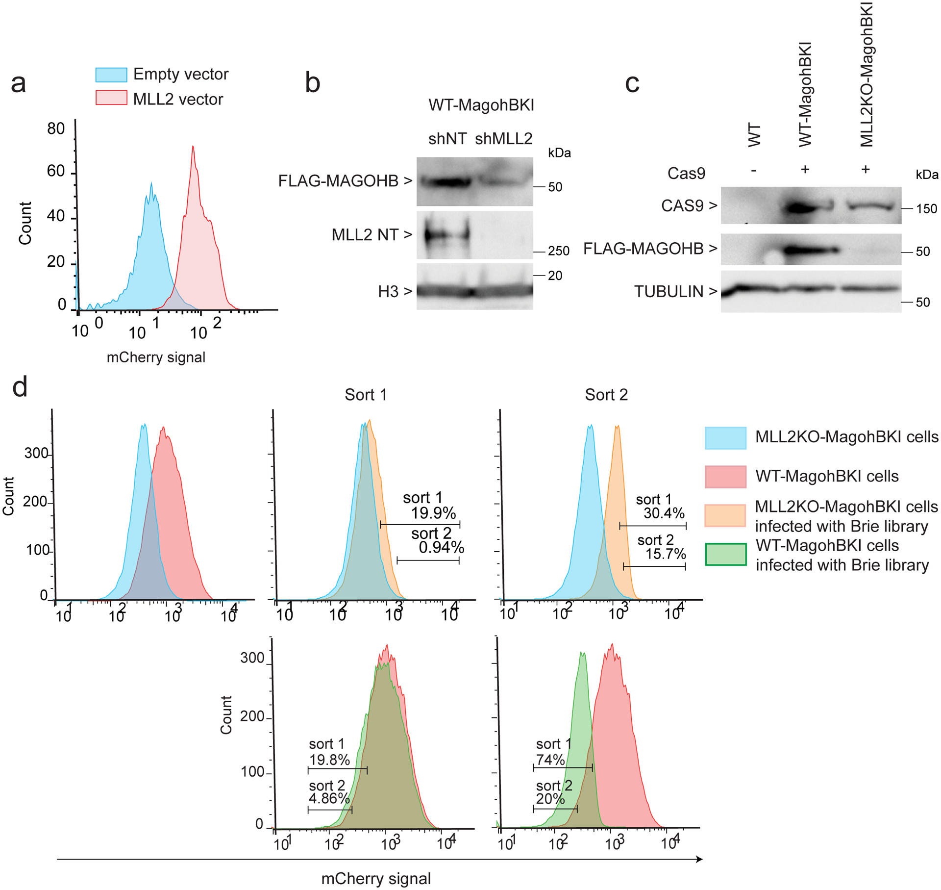 Extended Data Fig. 2