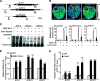 FIG 3