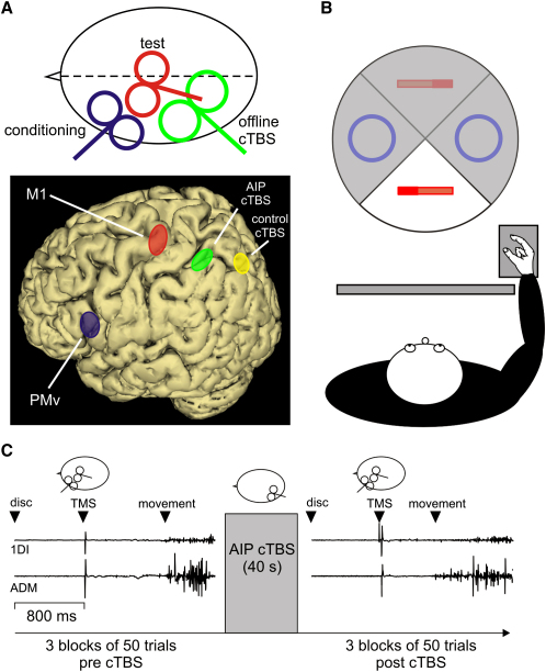 Figure 1